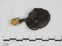 登錄號:F0005466藏品圖，第3張