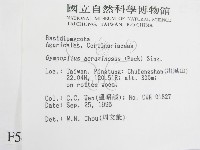 登錄號:F0005467藏品圖，第2張