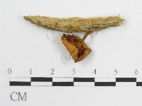 登錄號:F0005467藏品圖，第1張