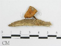 登錄號:F0005467藏品圖，第3張