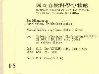 登錄號:F0005469藏品圖，第2張