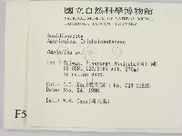 登錄號:F0005475藏品圖，第2張