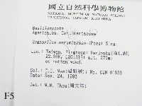 登錄號:F0005476藏品圖，第2張