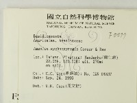 登錄號:F0005477藏品圖，第2張