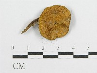 登錄號:F0005479藏品圖，第3張