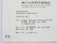 乳菇屬藏品圖，第2張