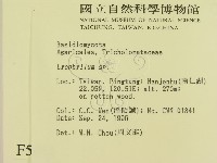 登錄號:F0005481藏品圖，第2張