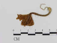 登錄號:F0005481藏品圖，第1張