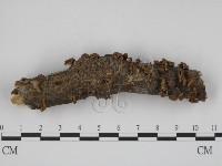 登錄號:F0005483藏品圖，第3張