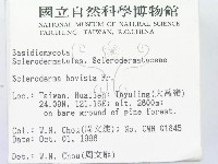 登錄號:F0005485藏品圖，第2張