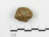 登錄號:F0005485藏品圖，第3張