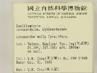 登錄號:F0005486藏品圖，第2張