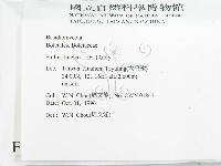 登錄號:F0005487藏品圖，第2張