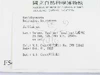 登錄號:F0005489藏品圖，第2張