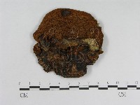 登錄號:F0005489藏品圖，第1張