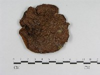 登錄號:F0005489藏品圖，第3張