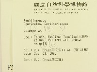 登錄號:F0005491藏品圖，第2張