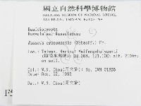 登錄號:F0005494藏品圖，第2張