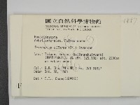 登錄號:F0005496藏品圖，第2張