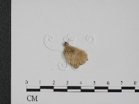 登錄號:F0005496藏品圖，第3張