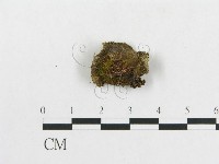 登錄號:F0005503藏品圖，第3張