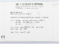 登錄號:F0005504藏品圖，第2張