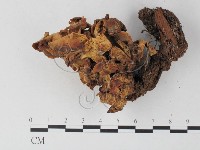 登錄號:F0005506藏品圖，第3張