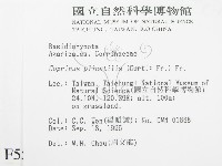 登錄號:F0005507藏品圖，第2張