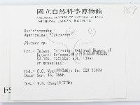 登錄號:F0005508藏品圖，第2張