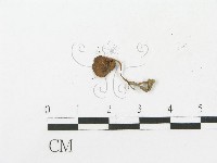 登錄號:F0005508藏品圖，第4張