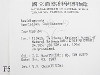 鬼傘屬藏品圖，第2張