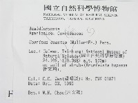 登錄號:F0005510藏品圖，第2張