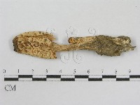 登錄號:F0005510藏品圖，第3張