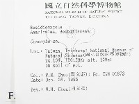 登錄號:F0005512藏品圖，第2張