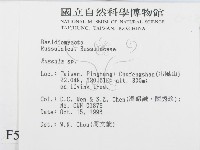 紅菇屬藏品圖，第2張