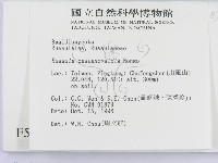 登錄號:F0005518藏品圖，第2張