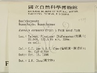 登錄號:F0005519藏品圖，第2張