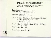 登錄號:F0005521藏品圖，第2張