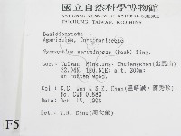 登錄號:F0005522藏品圖，第2張