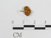 登錄號:F0005522藏品圖，第1張