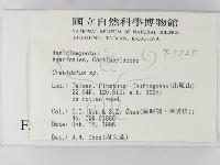 登錄號:F0005525藏品圖，第2張