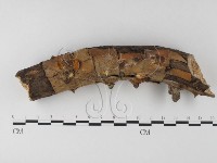 登錄號:F0005525藏品圖，第1張