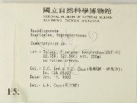 登錄號:F0005531藏品圖，第2張