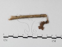 登錄號:F0005531藏品圖，第1張