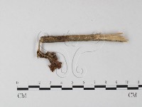 登錄號:F0005531藏品圖，第3張