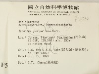 登錄號:F0005534藏品圖，第2張