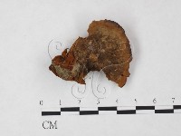 登錄號:F0005534藏品圖，第1張