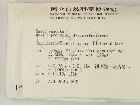 登錄號:F0005536藏品圖，第2張