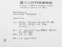 紅菇屬藏品圖，第2張