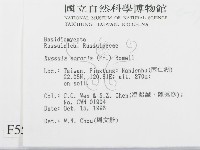 登錄號:F0005539藏品圖，第2張